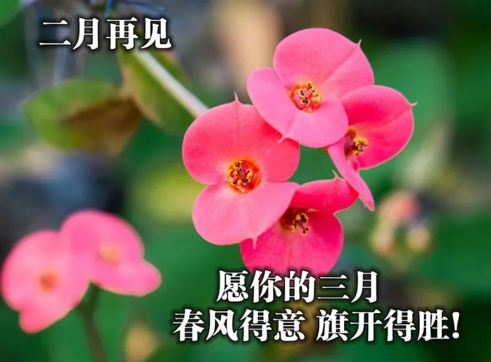 3月1日 清晨早安问候动态表情图片 2021最美早上好祝福美图