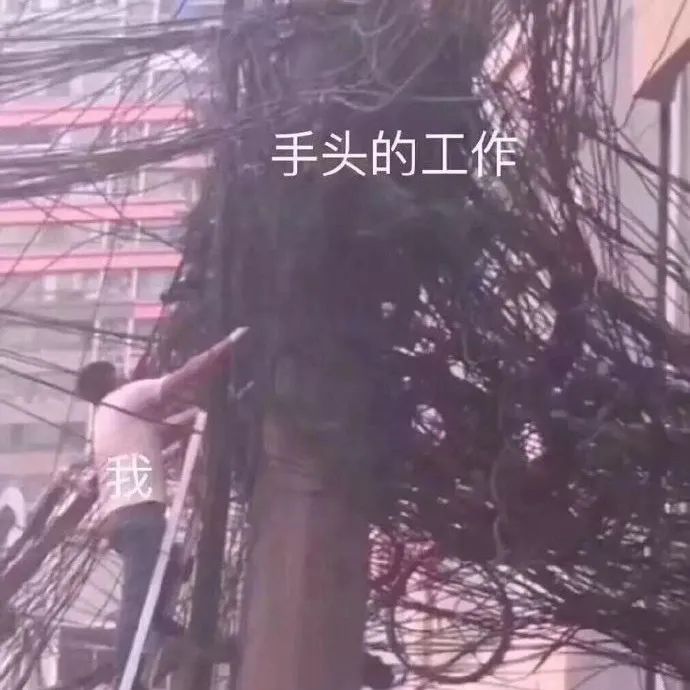 人间真实系列!