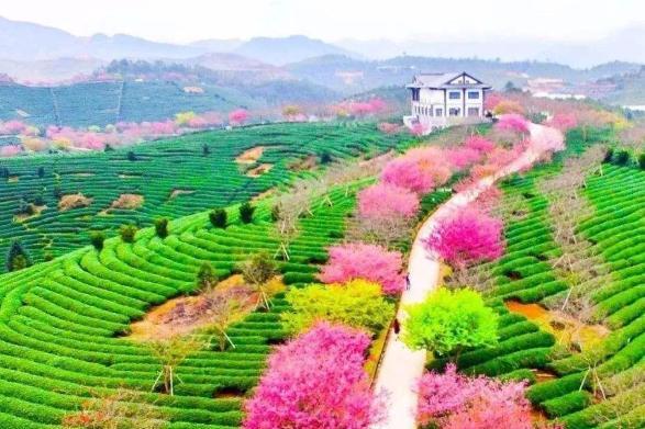 2020龙岩县城GDP_龙岩连城县城幼儿园(2)