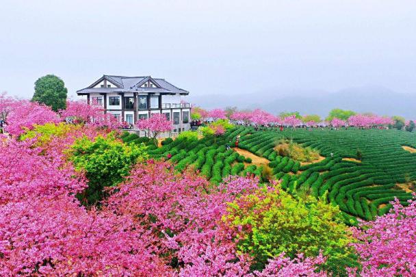 2020龙岩县城GDP_龙岩连城县城幼儿园(2)