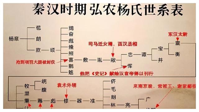 弘农杨氏的五百年孤独杨修的攀升与身死