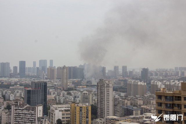 2021死亡人口_我国每年死亡人口(2)