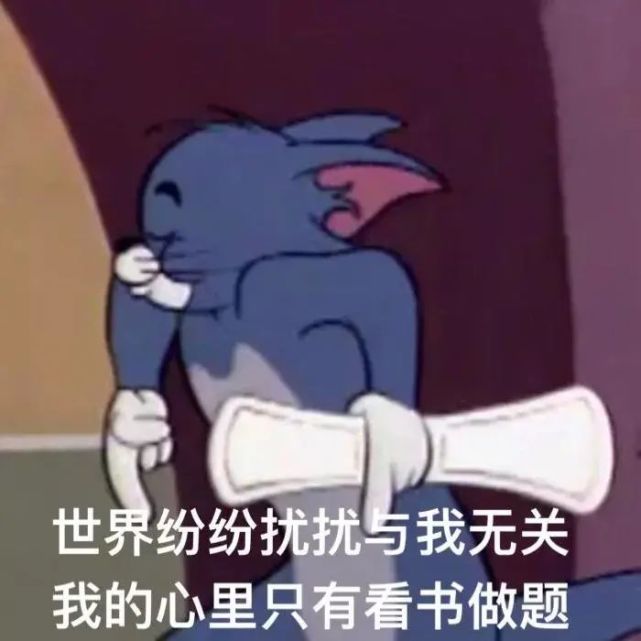 表情包猫和老鼠系列表情包