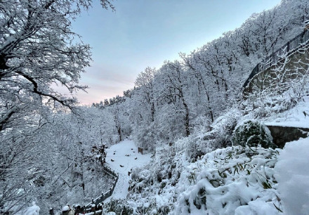 全网点赞!秦岭雪景冲上热搜…未来几天这里或迎雨雪