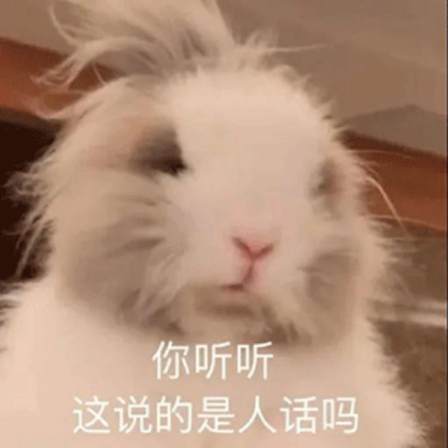 憨憨爆笑沙雕文案