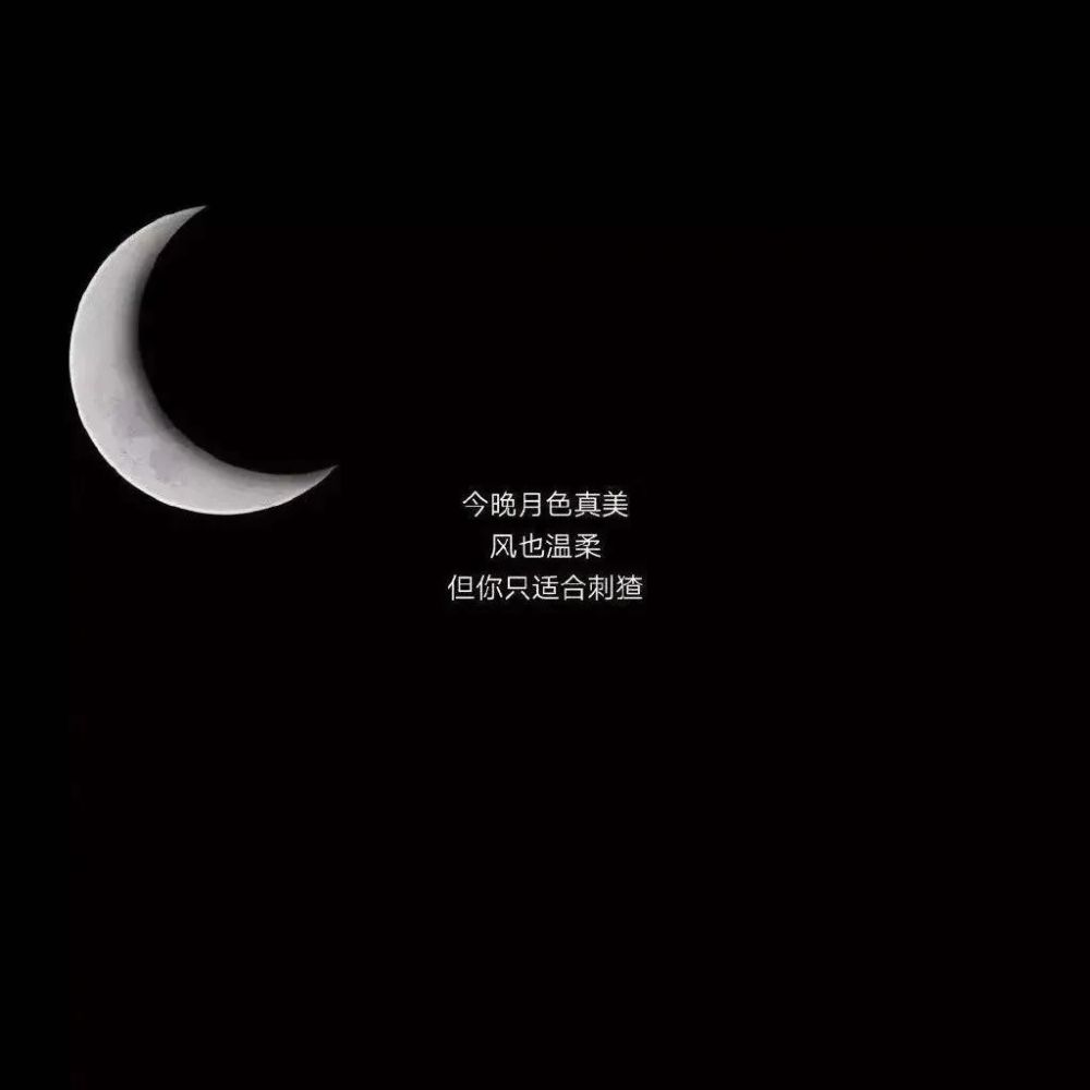 2021.2.28丨今日份朋友圈背景图