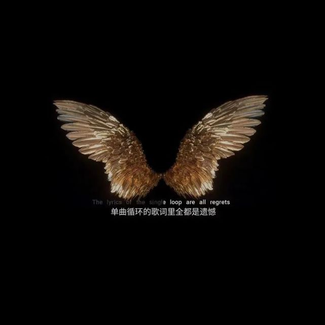 【情感背景图】谢谢你靠近我,了解我,温暖我,最后离开