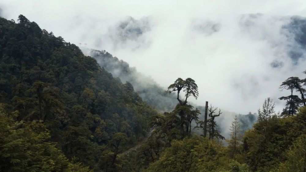 高黎贡山,为何迷人?