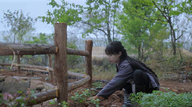 李子柒是"照骗"?她才不是颜粉出圈,择偶以会种地男生优先考虑