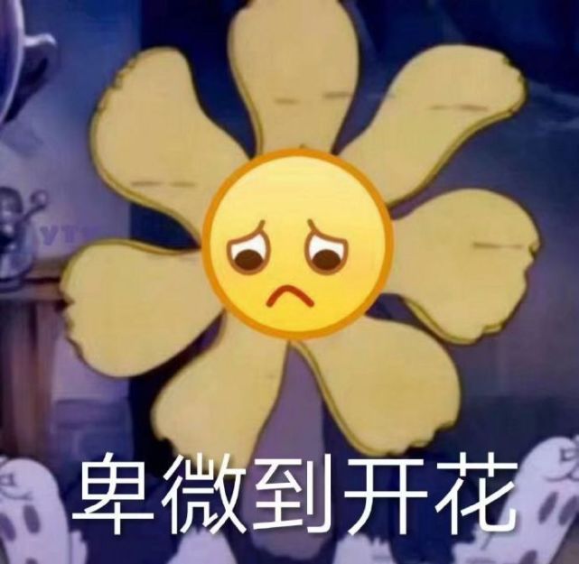 沙雕表情包l你好,美丽的姑娘