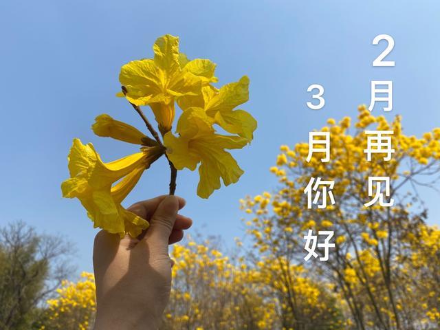 2月再见3月你好