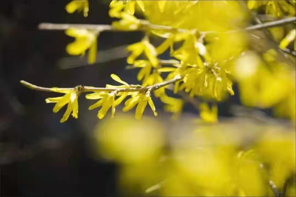 2021一季度城市gdp_2021湖北城市gdp