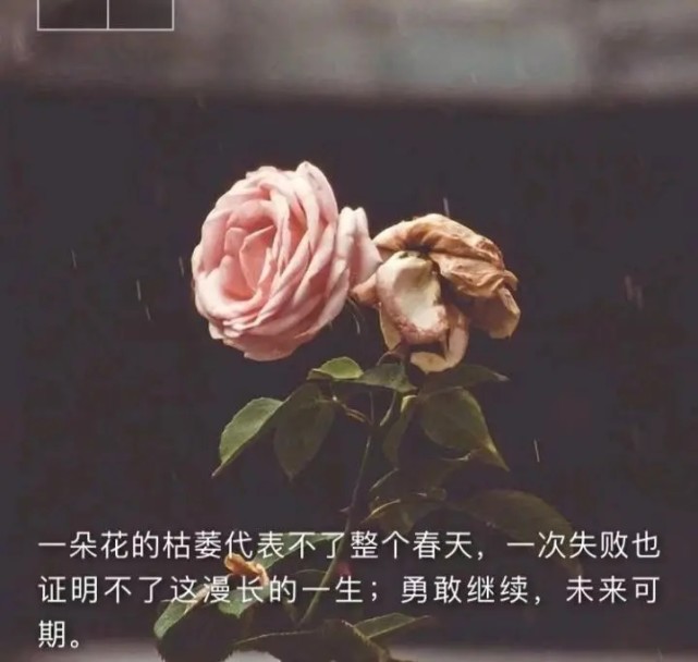 坦诚相待 幸福一生
