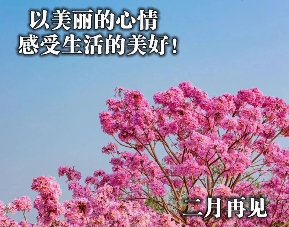 3月1日 清晨早安问候动态表情图片 2021最美早上好祝福美图