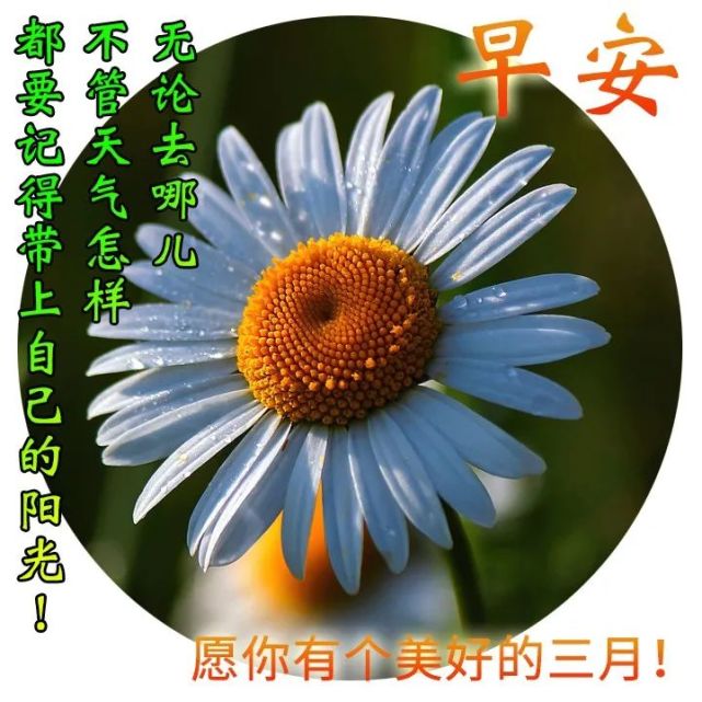 三月早上好祝福图三月早安祝福语