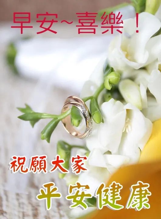 早上空气清新,叫你事事顺心;上午阳光明媚,祝你薪水翻倍;下午小风娇好