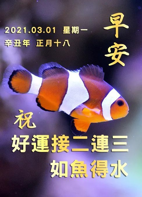 三月早上好祝福图三月早安祝福语