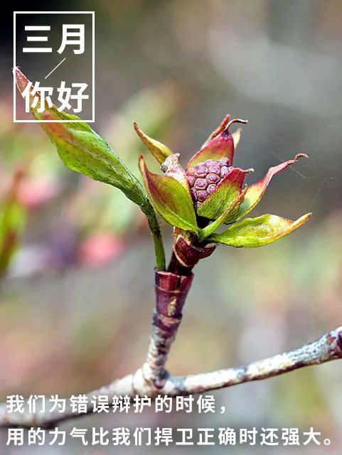 三月早安心语句子三月你好图片请查收