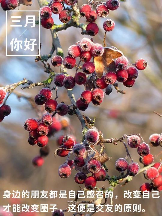 三月早安心语句子三月你好图片请查收