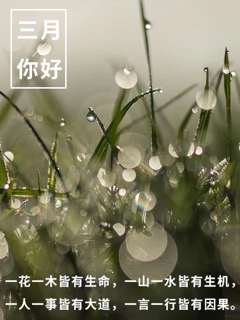三月早安心语句子三月你好图片请查收