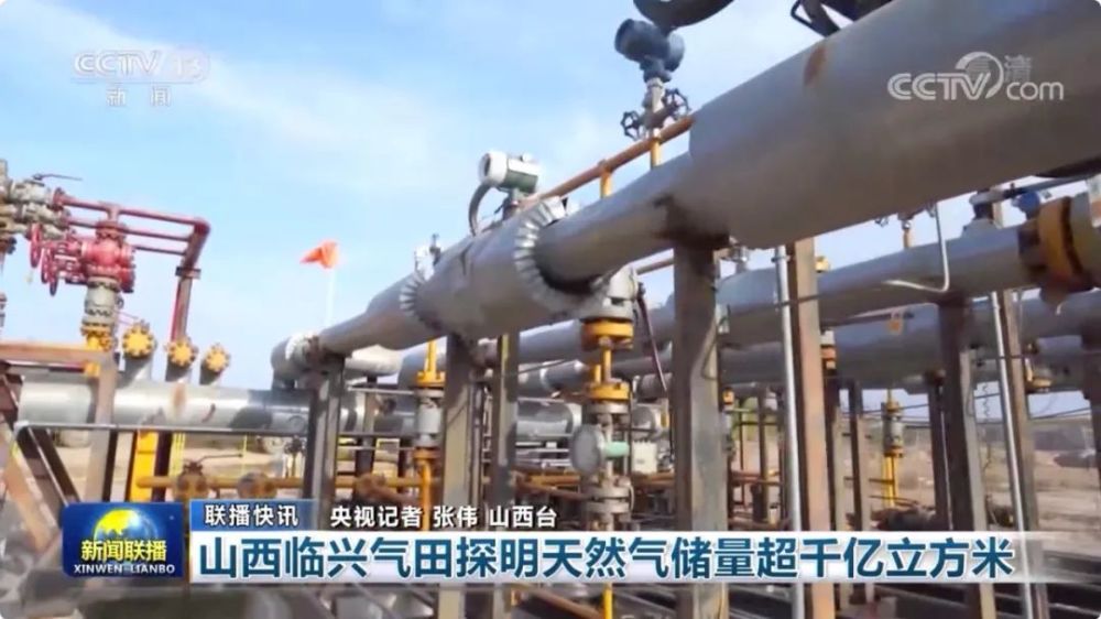 香港2021年经济总量_2021年香港生肖码表(3)