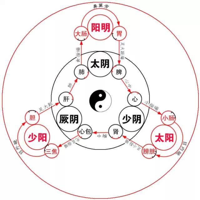 十二经脉流注次序图