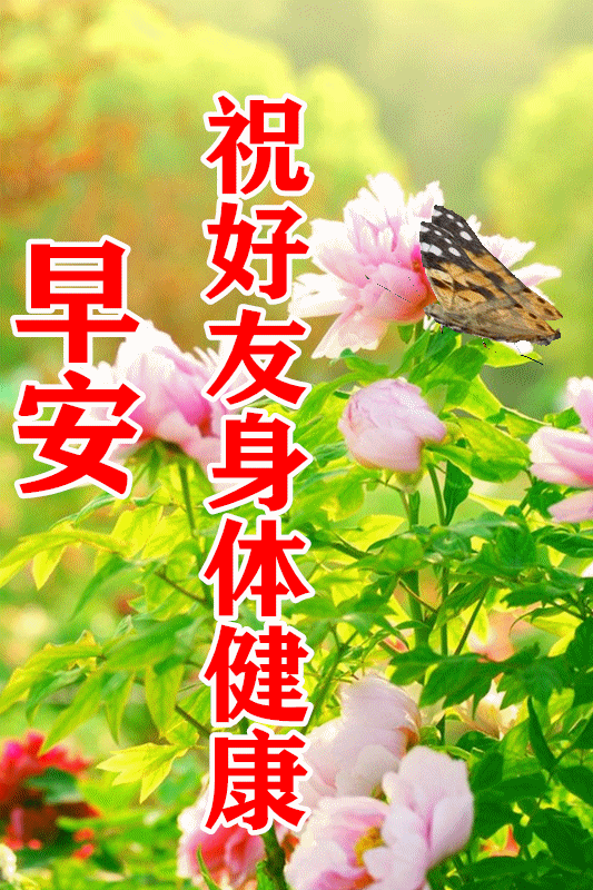 6月2日周三最新早上好问候祝福动态表情图片 最新早安