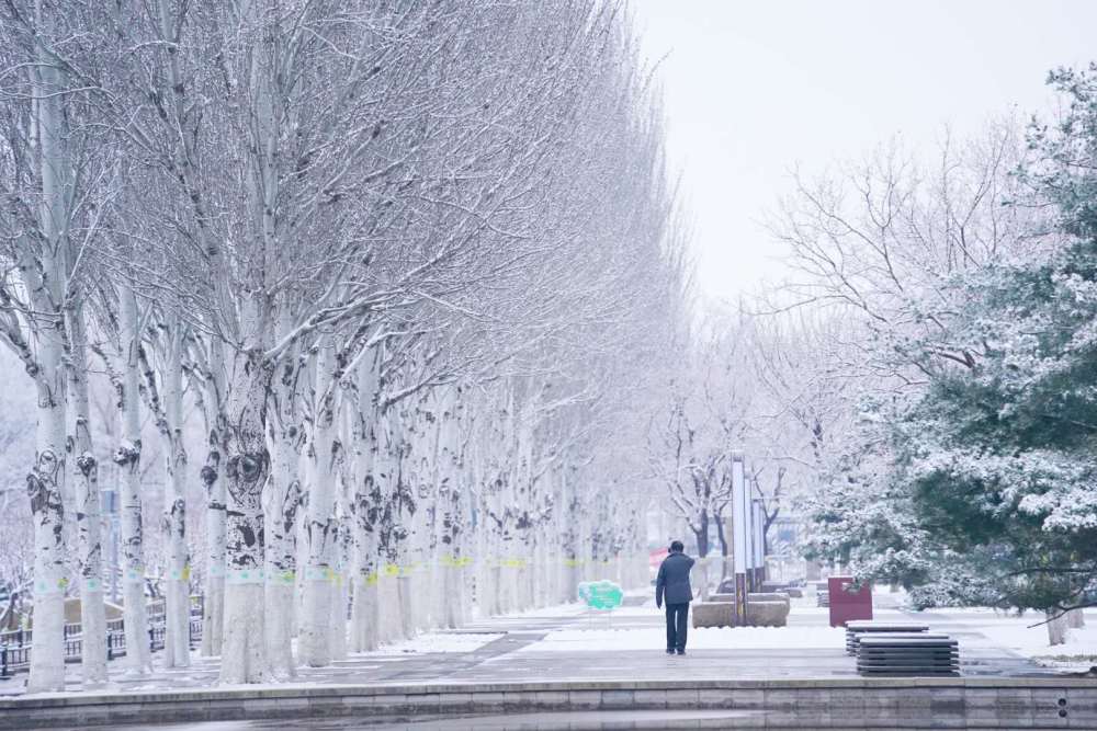 今天,一觉醒来,北京多地可以看到美丽的雪景 3月1日凌晨朝阳区博大路