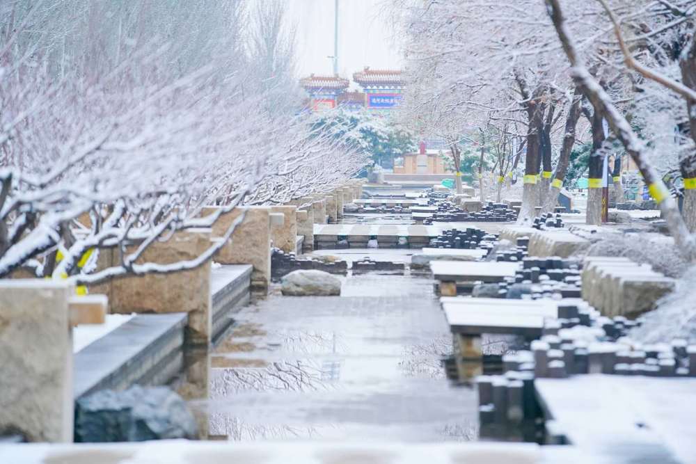 今天,一觉醒来,北京多地可以看到美丽的雪景 3月1日凌晨朝阳区博大路