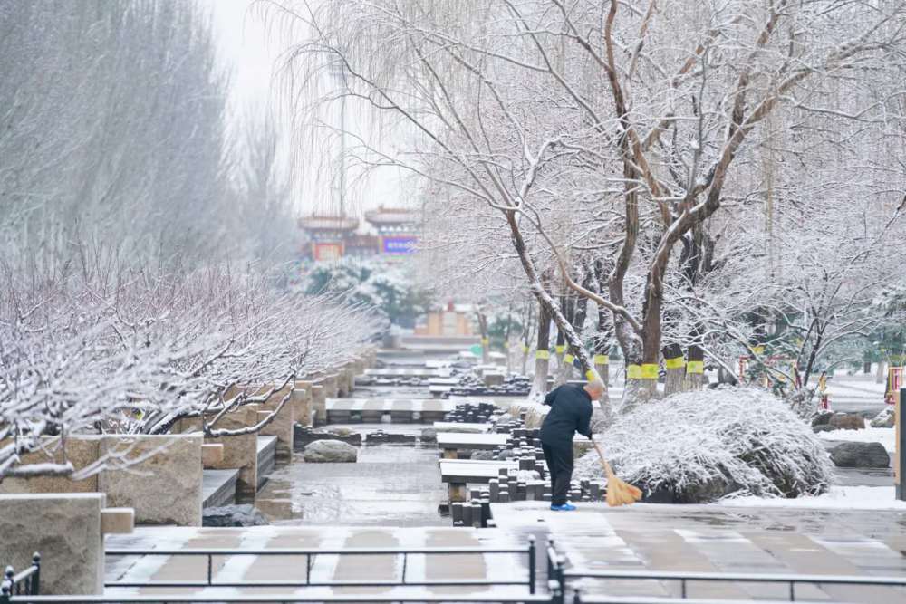 一觉醒来北京又下雪了新鲜雪景图已到货