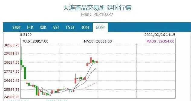 母猪GDP_母猪上树的图片(2)