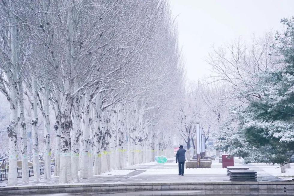 一觉醒来,北京又下雪了!新鲜雪景图请查收