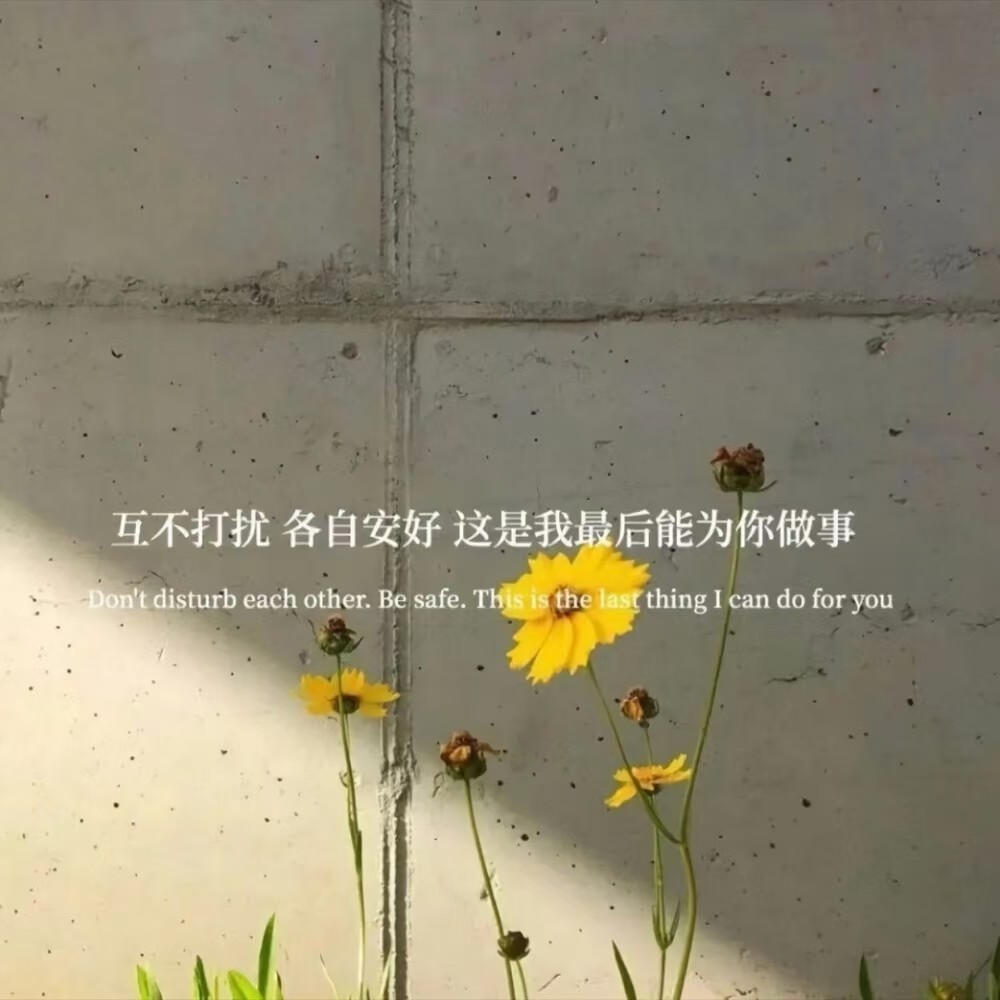 背景图:成长就是 不断告别 不断遇见