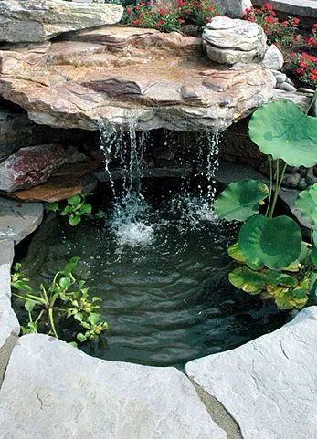 从风水格局,传统文化来看庭院水池造景有哪些讲究.