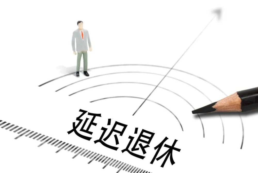 人口普查延迟退休_人口普查(2)