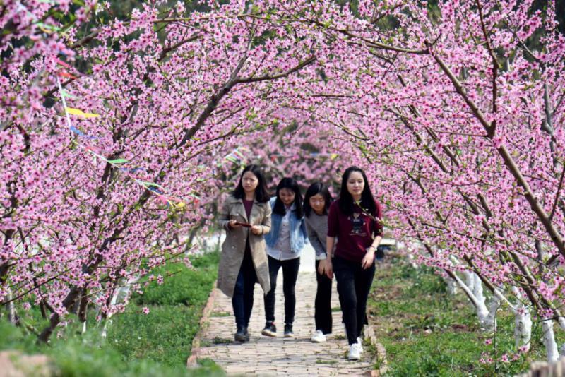 2021/03/01—2021/05/31在成都金堂春季踏青,赏花,登高旅游巴适得板.