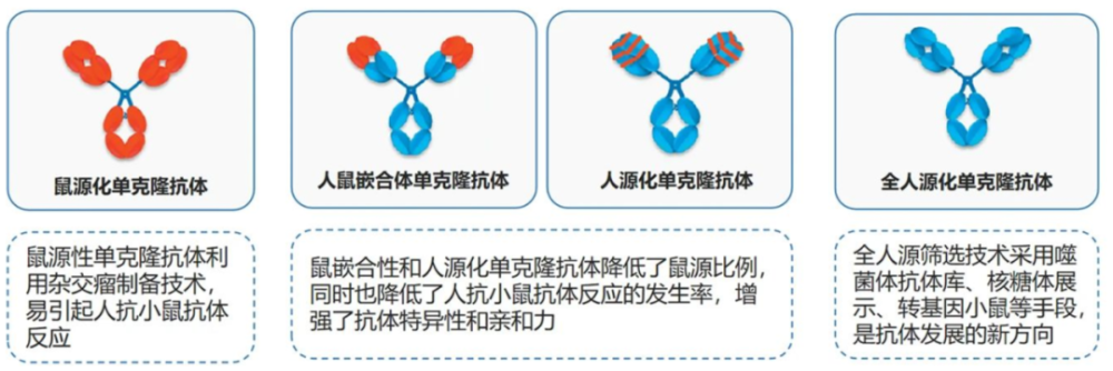 关于单克隆抗体药物的10个答疑解惑