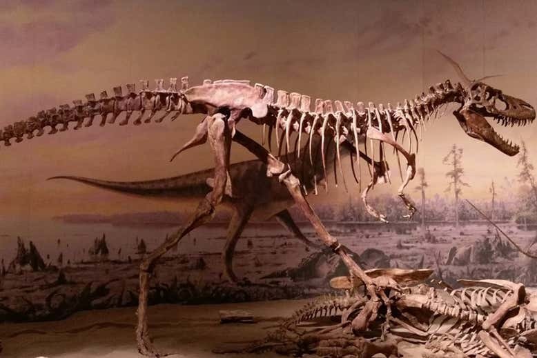 为什么食肉恐龙都是如此巨大,难道没有中小型的食肉龙