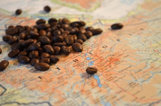 产地介绍丨咖啡的发源地—埃塞俄比亚ethiopia|咖啡|咖啡树|sidamo