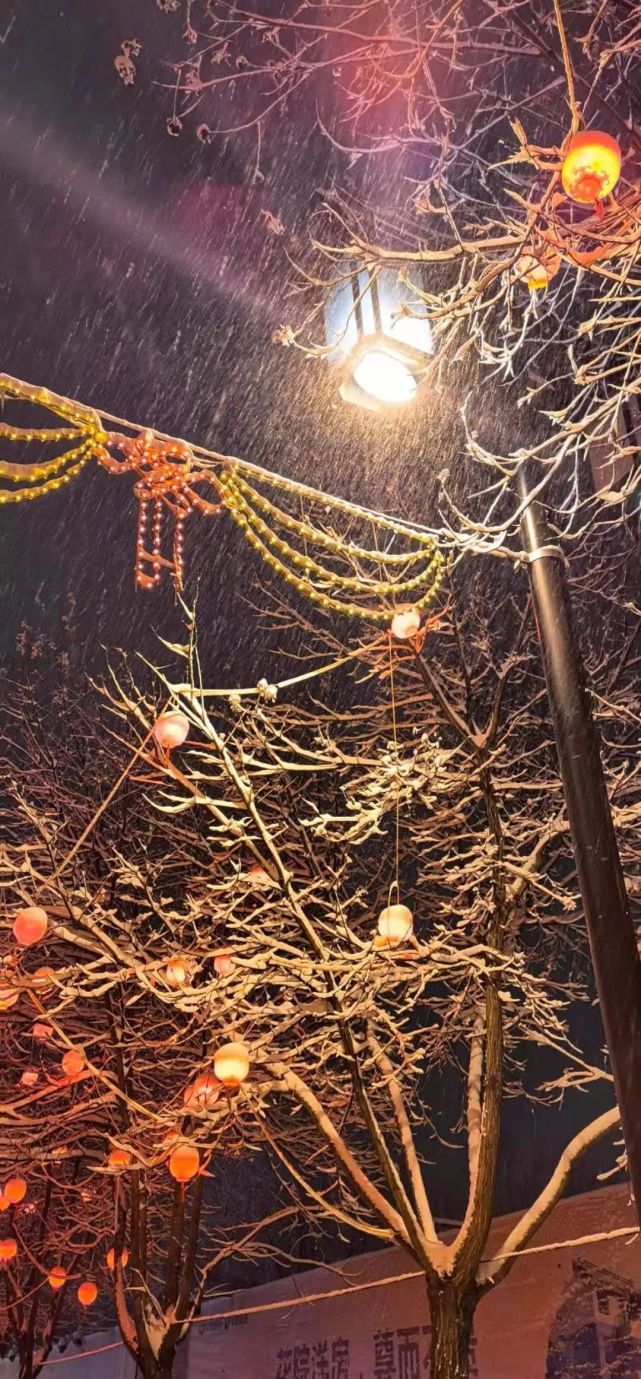 正月朔州夜色雪景图!