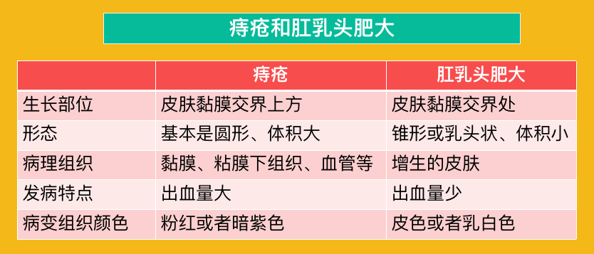 十人九痔?专家教你如何"痔"身事外