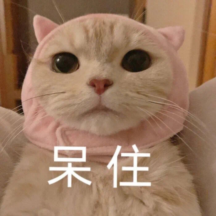 情侣聊天必备表情包