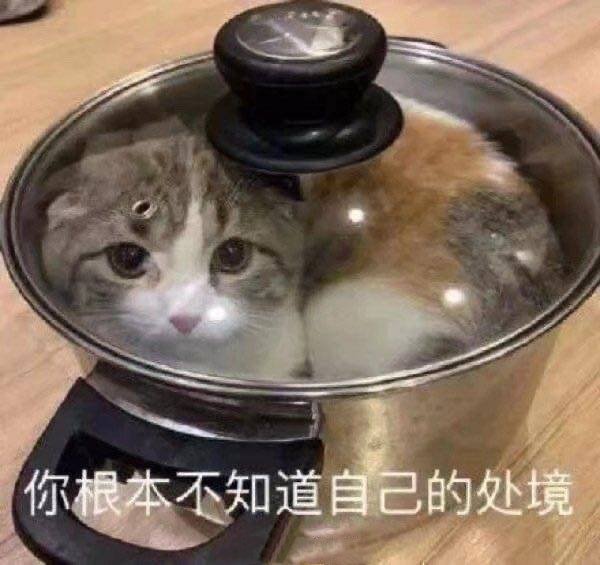 萌宠表情包:能让我吃软饭吗?