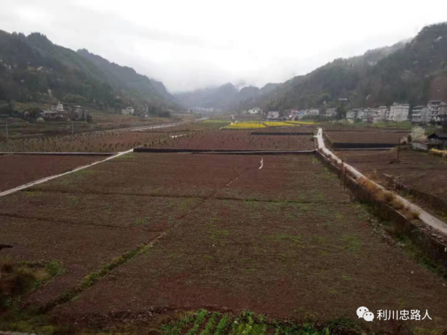 利川市忠路镇合力村土地流转招商公告