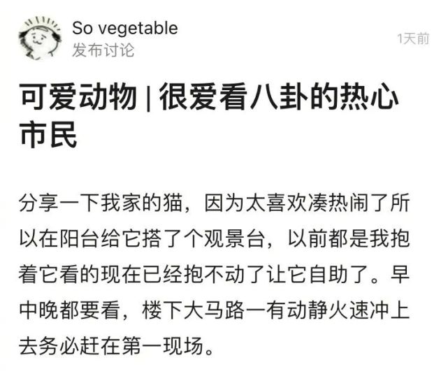 【搞笑】结婚前 vs 结婚后.