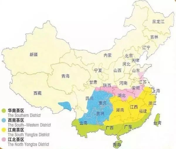 三月春茶季|中国四大茶区具体指哪些地方?