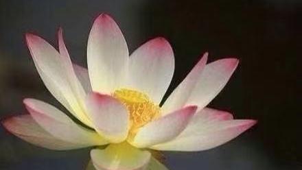 但这样的感悟,50岁人是深入骨髓的感触,20岁人是停留在表层的理论阐述