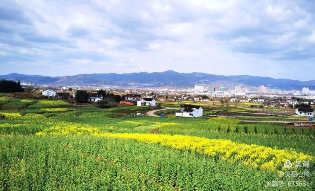 汉中油菜花节 西乡主会场之高土坝