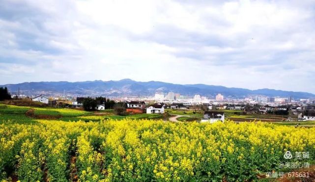 汉中油菜花节 西乡主会场之高土坝