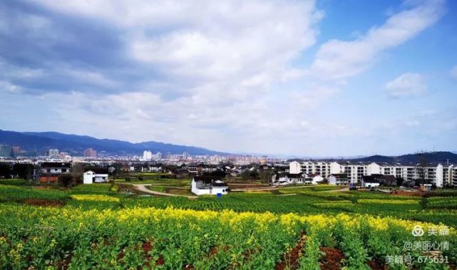 汉中油菜花节 西乡主会场之高土坝